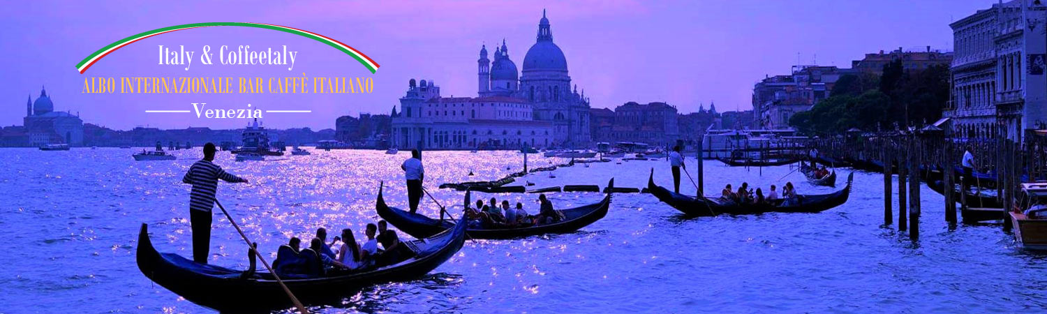 Venezia Punta Salute